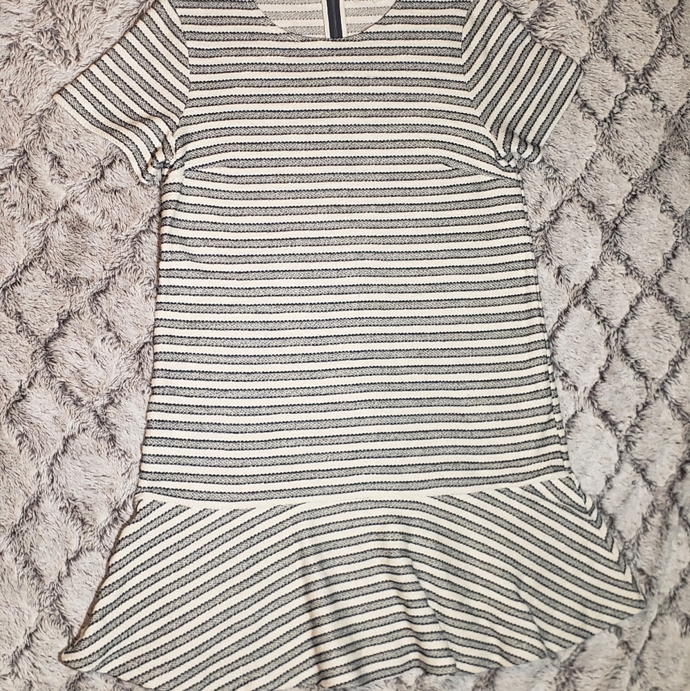 Loft Shift Dress Women's Size 10